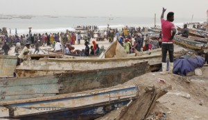 Fish market Nouakchott