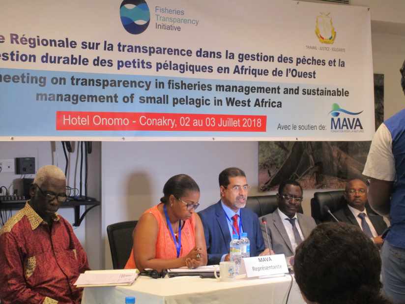 FiTI regional workshop